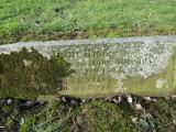image of grave number 789053